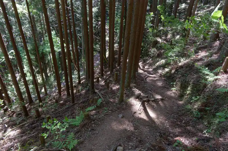 そのまま降りていくと舗装路が見える。いよいよ石尾根も終わりだ。