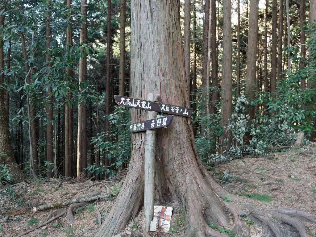 前坂に到着。スルギ尾根も歩いてみたいんだよなあ。破線ルートですが道は明瞭だそうで、一か所岩場があるようです。

というか、奥側に「中藤・竹寺」と指導標が立っていますが、これは怪しいですね。少なくとも地図を見た感じ、こっちの方面には竹寺まで登山道は繋がっていません。私は歩いたことないけど、ここから道路に降りる道はある模様。そこから道路を歩いて天王山経由で竹寺にいくという感じの道なのかなあ。