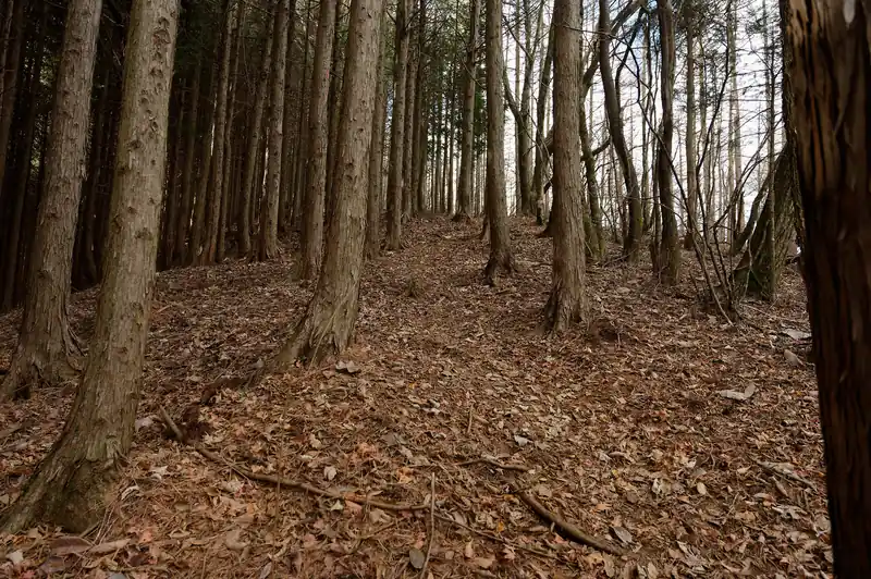 早速登りです。