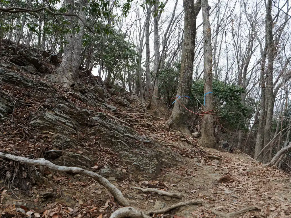 ここを登り切ると岩茸石山。