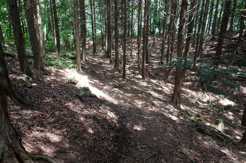 ようやく平坦地に出て安心。このあたりで数人の登山者とすれ違い。