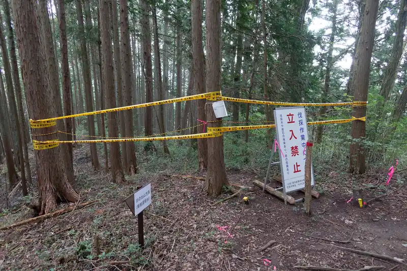 先に進んでいって伐採作業中により立入禁止の登山道の入口へ。
かなり大げさに立ち入り禁止ロープが張られていますが、やっぱりこのくらいやらないと入る人いるんだろうな。

なお、この立入禁止エリア、伐採作業中とありますが、花粉の少ない杉の木へ植え替えてみる試験植林のようです。