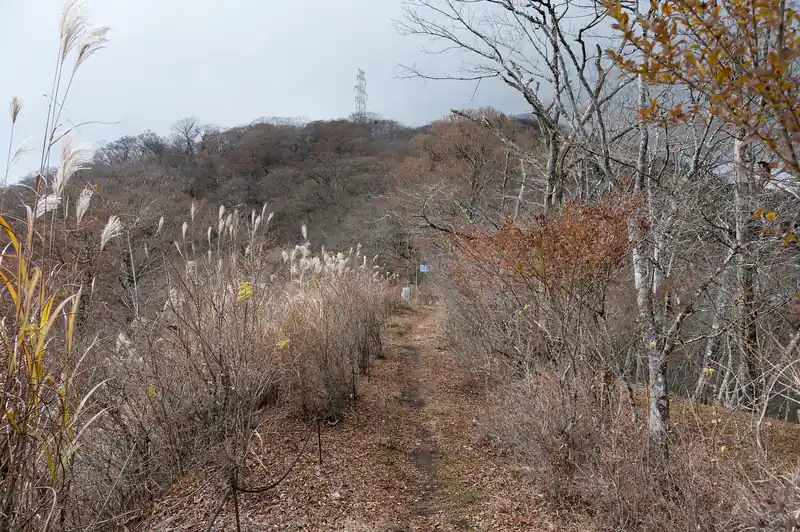目の前に三国山が見えてきました。といっても雲がかかっているせいか、山頂は見えない。
