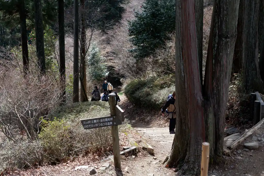 山頂は混んでいるし、温泉に早いところ入りたいので、早々に撤退します。

撤退ついでに日の出山にある東雲山荘を見にいきました。

写真は東雲山荘近くの御岳山への分岐の道。やっぱりこの道凄い混んでいる。
