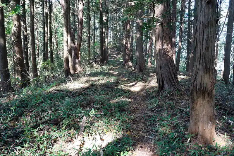 登り切ると平坦な道へ。