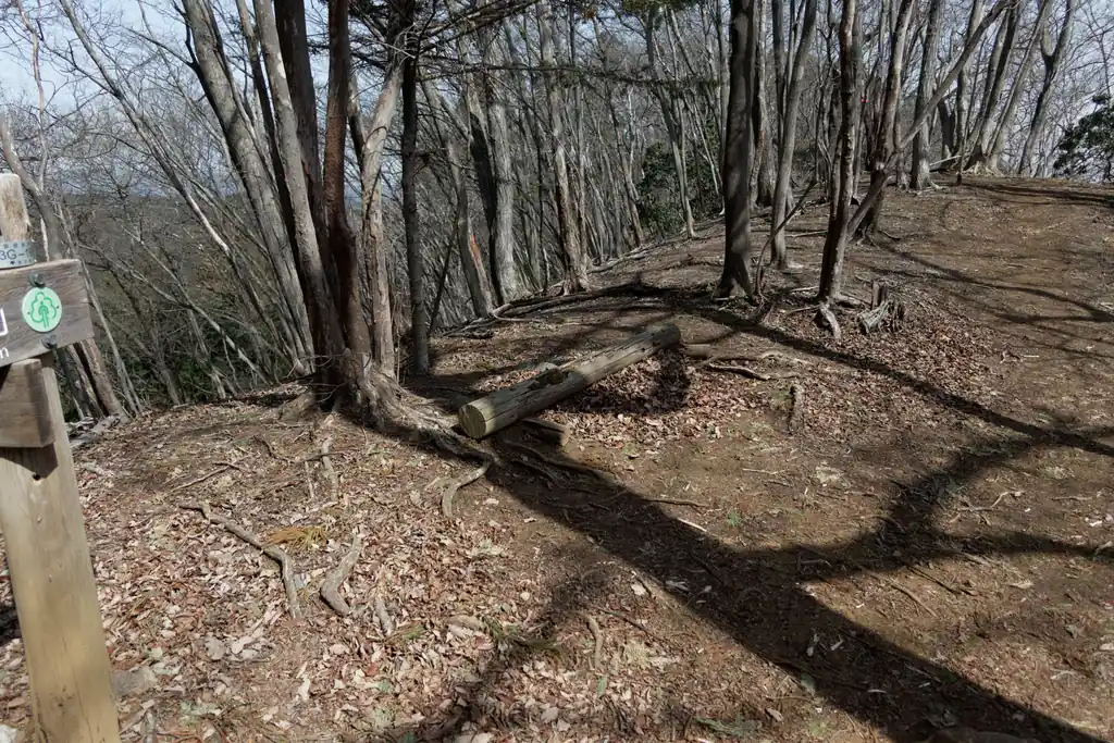 丸太で出来た簡易ベンチ。