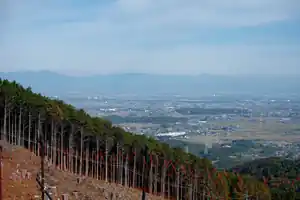 長瀞アルプス・陣見山