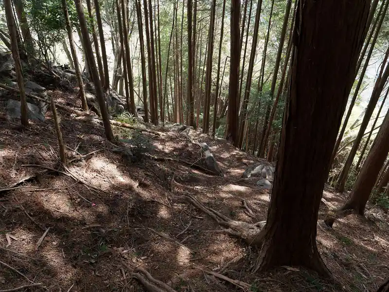 ここから急坂を下って…