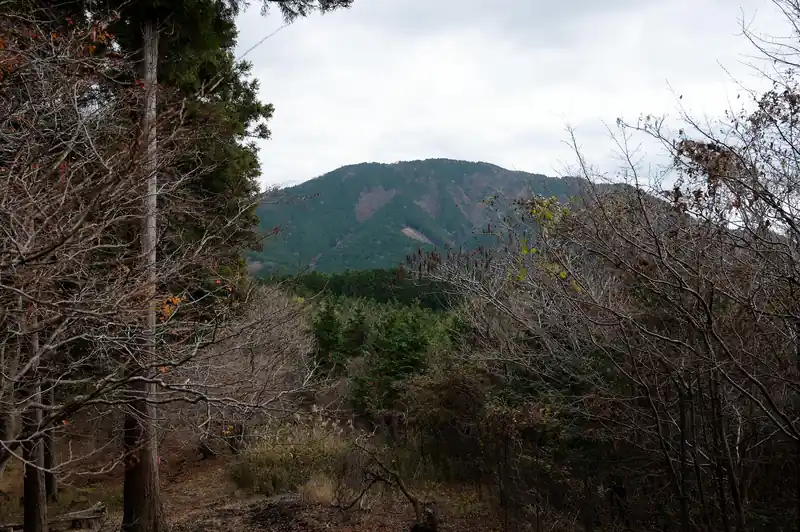 振り返ると不老山。