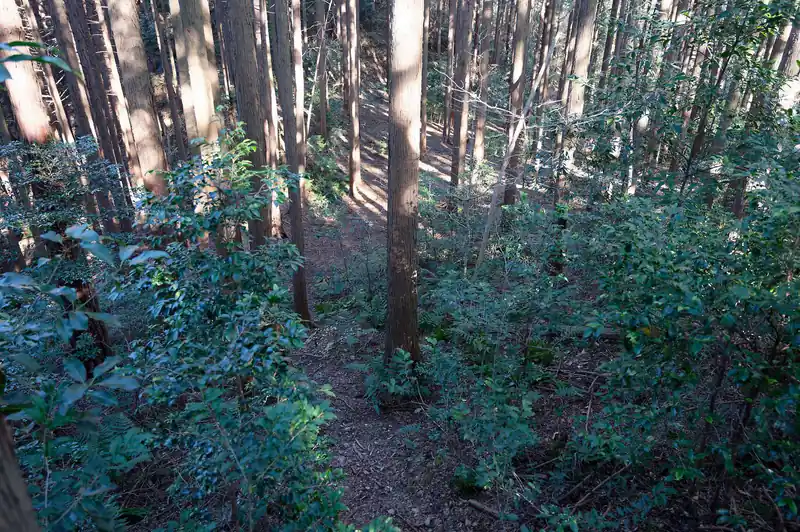 そのまま歩いていくと藪のない広場へ出る。