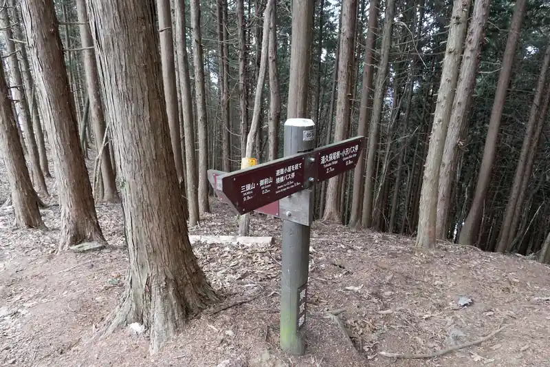 稜線から明るい光が差し込んで、ようやく御前山の手前まで来ました。
