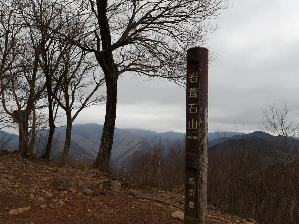 というわけで岩茸石山山頂着。
高水三山で最も標高の高い793mです。
既に山頂は何人か登山者がいて、休憩中といった感じでした。
ちょうど中間地点、見晴らしも良いので休憩するならここでしょうね。