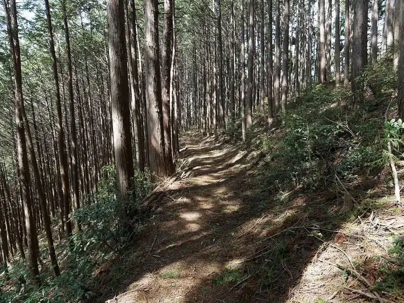 だいぶ歩きやすくなったぞ～とそのまま道なりに進む。