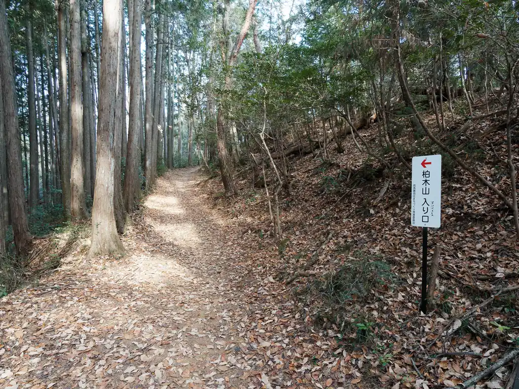 恐らくこの道が柏木山に行くには最もポピュラーだと思う。
歩いたことがないので、今回はこっちを歩くことにした。