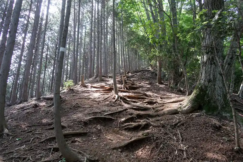 最初の急坂を登りきると、また坂道。