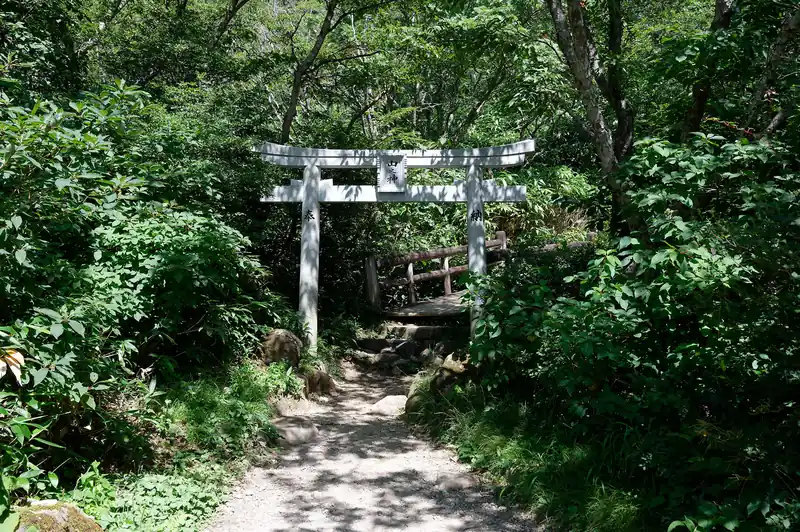 そのまま進んでいくと今度は鳥居が現れ…