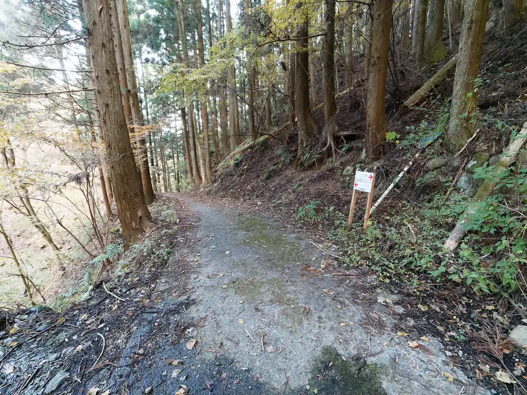 左側に砂防ダムが見えてくれば舗装路は近い。

舗装路に出るともう下山したようなものだ。