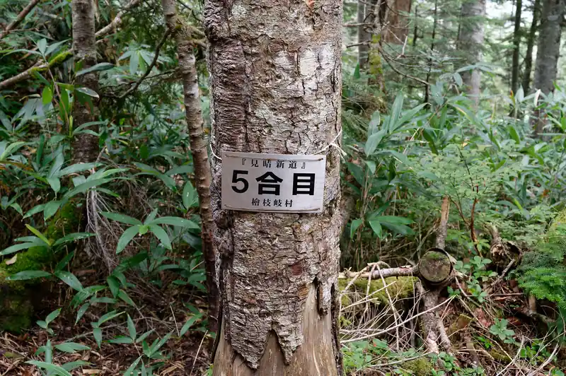 五合目付近から、一層緩やかに下る道になり一安心。
