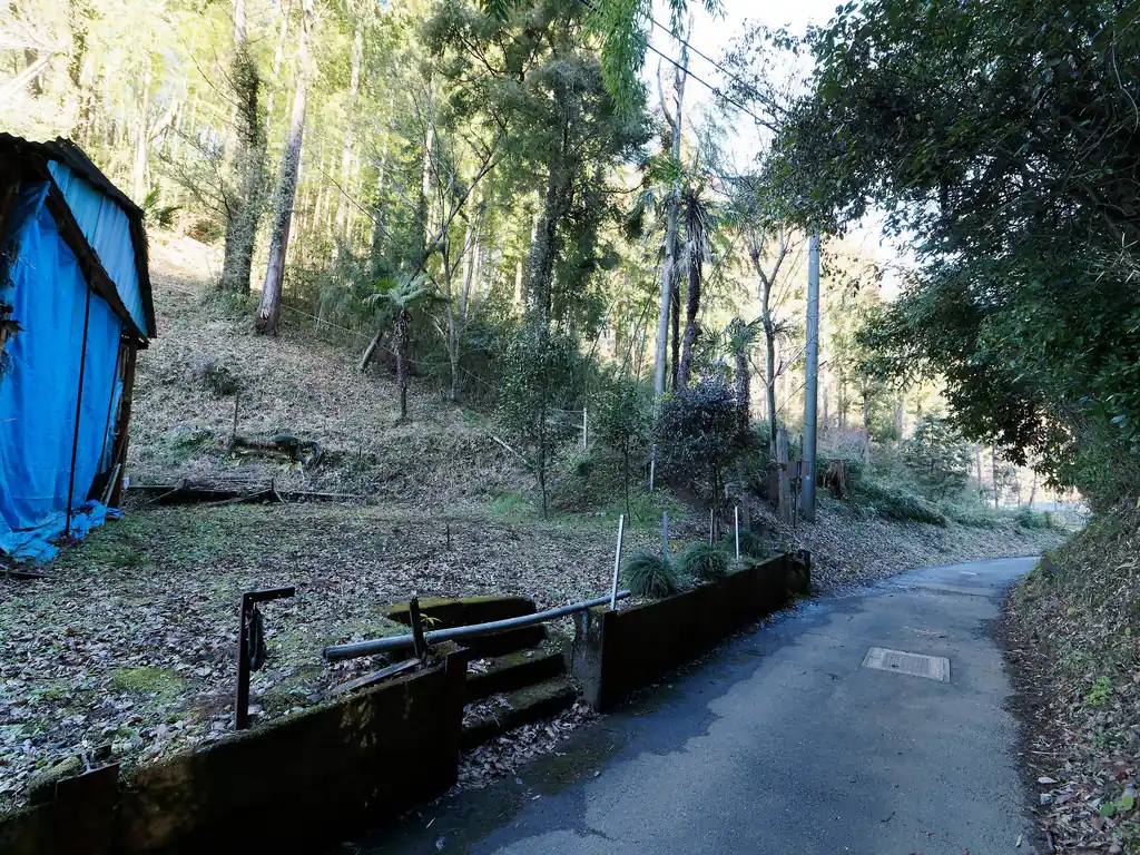 登山口に到着。グミの木峠というらしい。