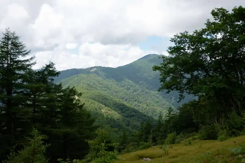この稜線（石尾根）を歩いて奥に見える山頂が雲取山のはず。