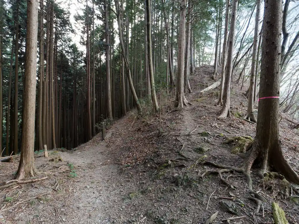 ここまで来れば竹寺はすぐそこ。右のルートを登って鐘楼ルートを歩いてもよいし、左の谷沿いの道を歩いて竹寺を目指してもよい。