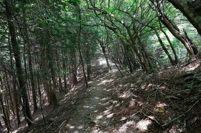 至って平和。良い道です。