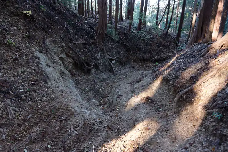 少し轍が出来ていましたが歩く分には問題なし。