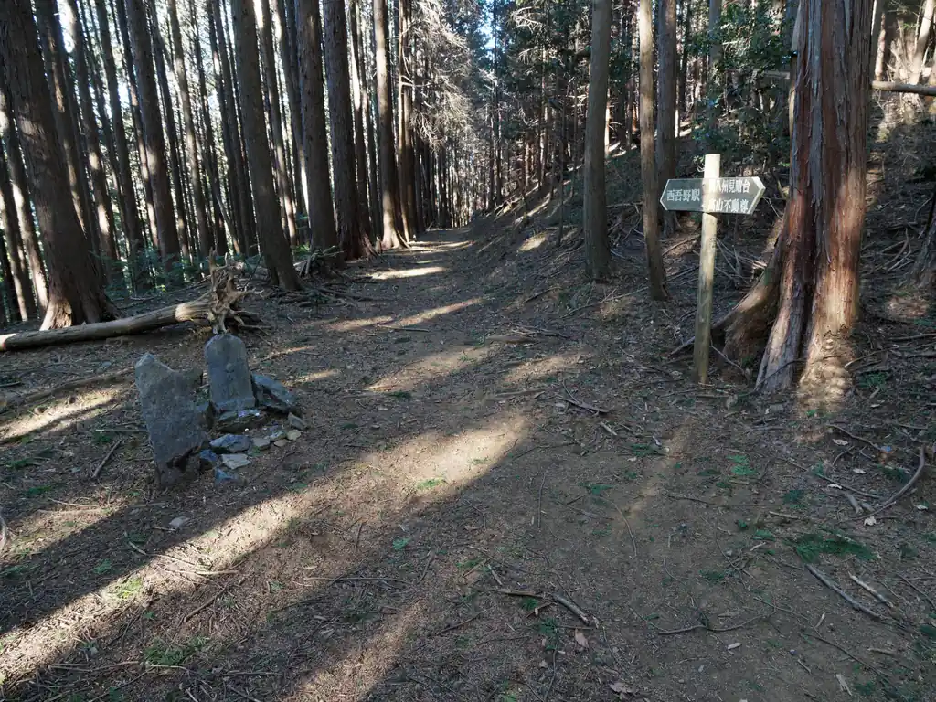 パノラマコースから石地蔵で萩ノ平コースと合流。
ここから高山不動尊まではなだらかな歩きやすい道が続く。