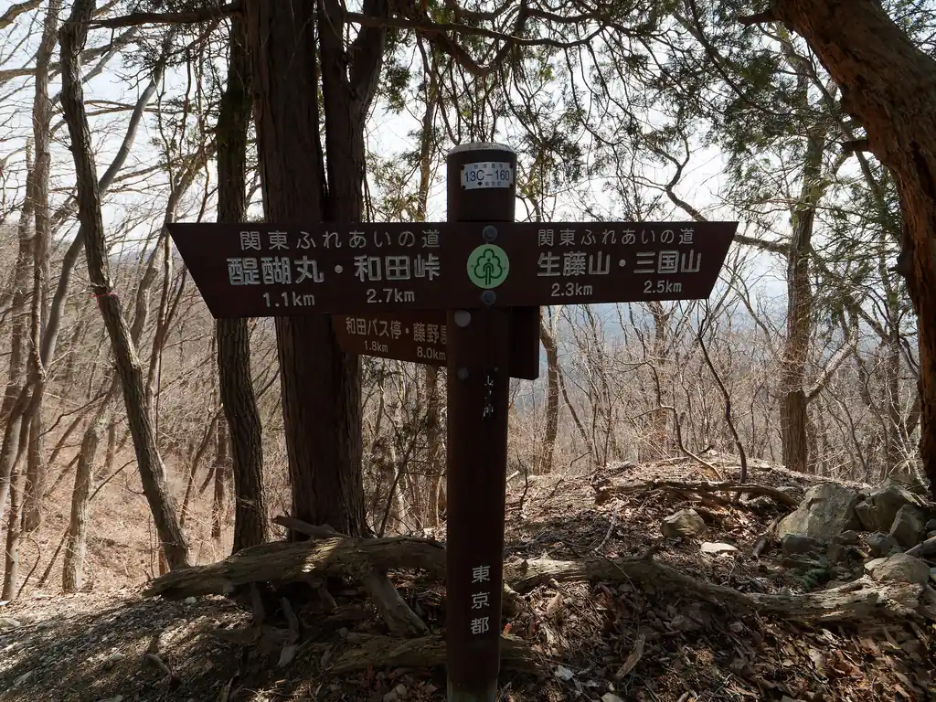 山の神分岐。
醍醐丸まで1.1km。歩けば恐らく20分程度だろうか。ここで本日のやる気なしが炸裂して、下山することに。
なんだかよくわからないけどやる気ない日ってあるよね…ということで。
