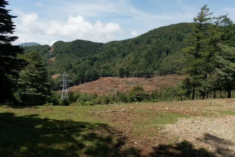 反対側は伐採地でしょうか。重機も見えます。