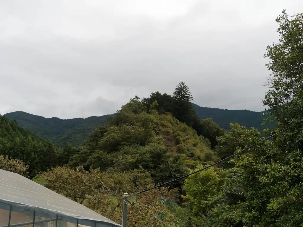 上の写真が、天王山の北側の車道から天王山を撮ったもの。
うっすらと木の階段のようなものが見えるが、結構藪っぽい気がする。寒くなって葉が落ちたら歩きやすくなるかもしれない。