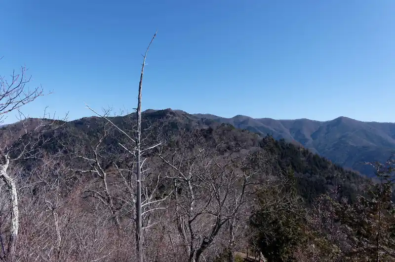 こっちはハマイバとかのほう。中央右寄りのピークが棚横手山と思う。