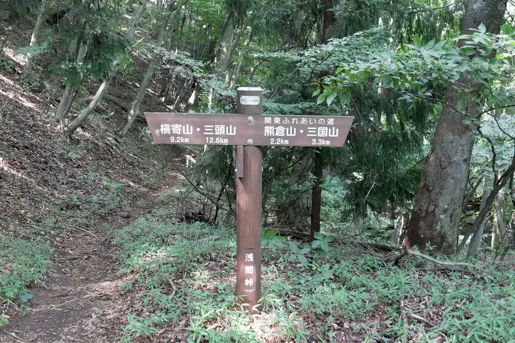 さらに生藤山を越えて陣馬まで歩く人もいるようですが、私はもうここで降ります。
もともとその予定だったし、流石に気力がもうない。