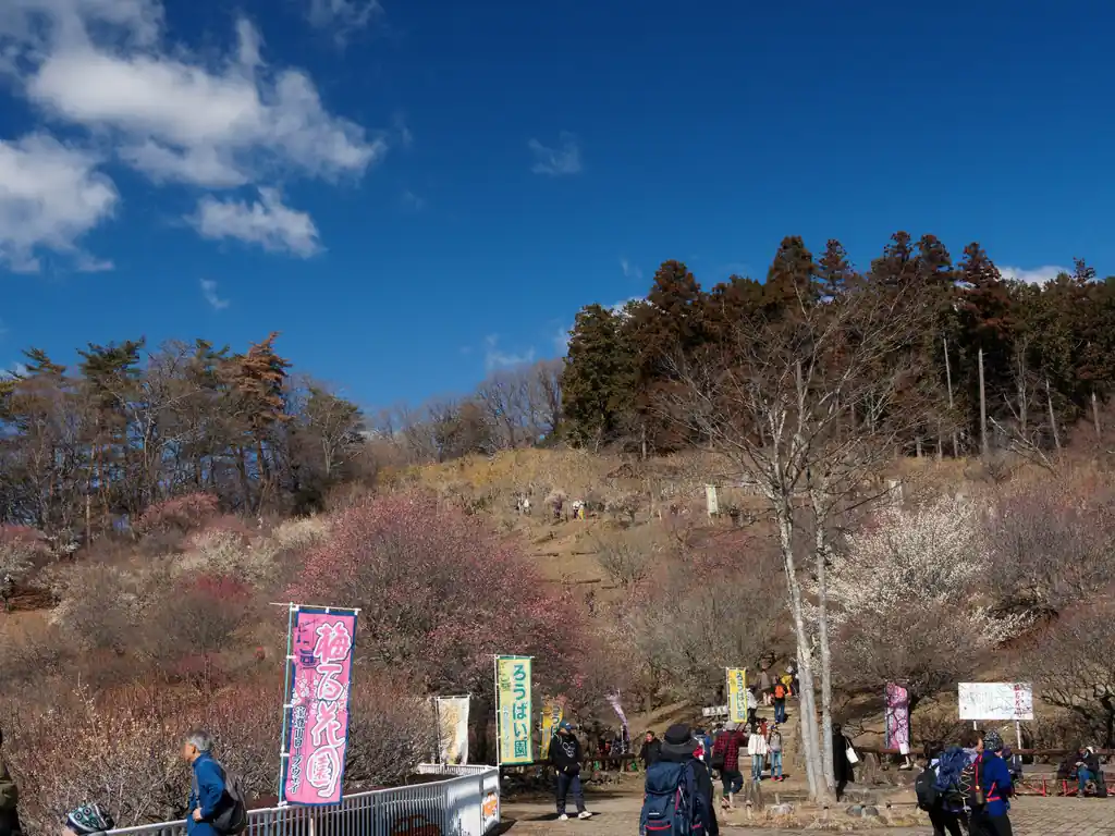 今年も賑わってるなあ。
宝登山はこの季節が一番混むと思いますが、この季節以外でも景色は楽しめるし、小動物もあるので、長瀞観光とセットで訪れると面白いと思われます。