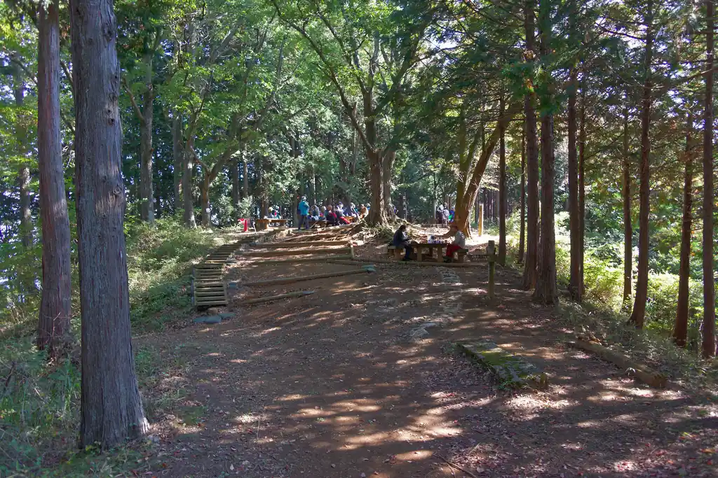 山頂はいくつもベンチがあり、登山者で賑わっていた。ちょうどお昼時だったので、昼食休憩をしている人が多かったのかもしれない。
しかし、こんなに登山者がいるとは…良い山じゃないか、石老山。
なお、石老山は良い山だったとしても、眺望はほんのわずかに樹間から丹沢方面が眺められるだけである。