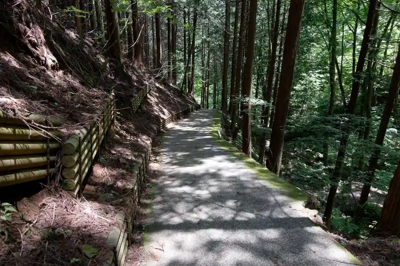 わさび田の広場からは舗装路を歩いて行く。
ここから長い長い舗装路歩きが境橋まで続く。