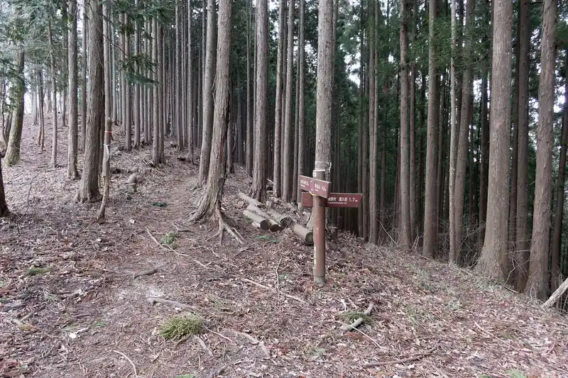 写真左側から歩いてきて、振り返って道標。
どうやらここから下山できる道がある模様。歩いたことがないので、まだ生きている道なのかはわからない。