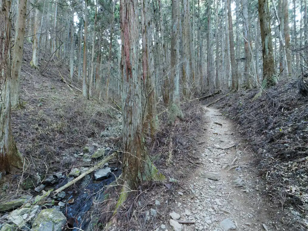 沢沿いの道を歩いていきます。