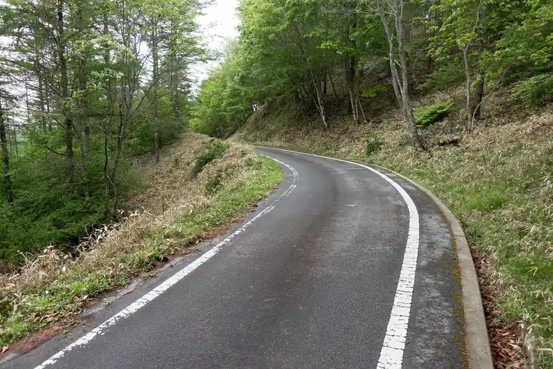 舗装路をそのまま歩いて行くのが正解でした。