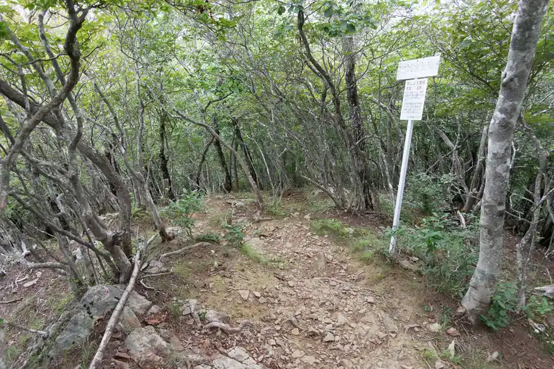 山頂でお昼休憩を取ってから奥に進んでみると寂しょう尾根の入口です。