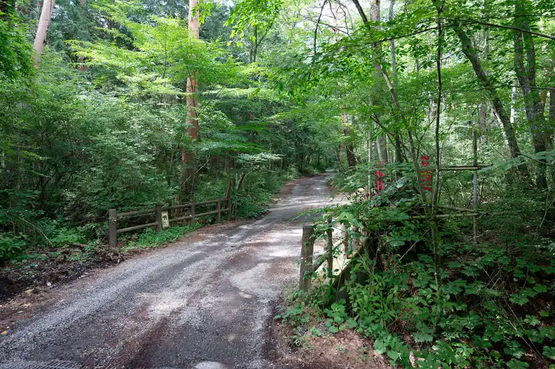 中ノ茶屋を通り過ぎて舗装路を歩いていく。ここも車がたまに通るので要注意。