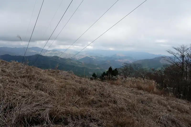 送電鉄塔の場所まで登ってきました。
この登りも登山道らしき道がよくわからず、歩けそうなところを適当に歩いて登ってきました。