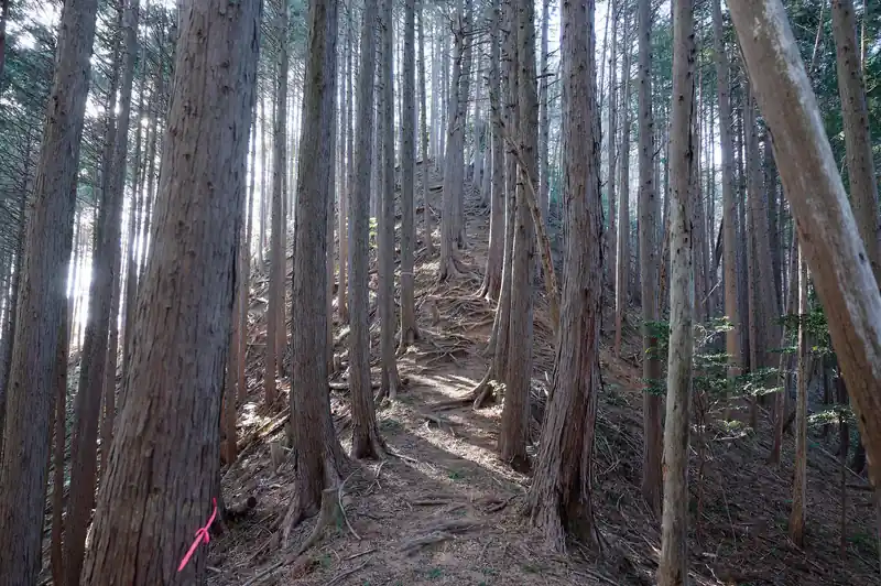 丸屋の頂手前は急登。