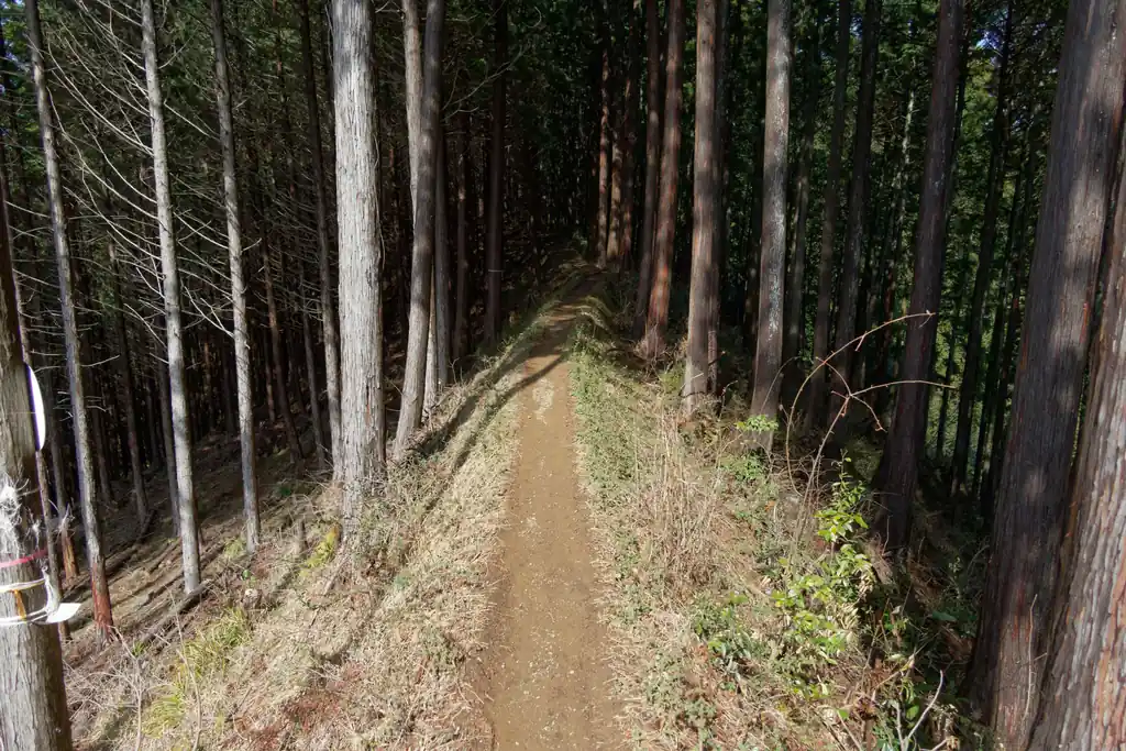 痩せていますが、高度感はなく、土手みたいな感じ。