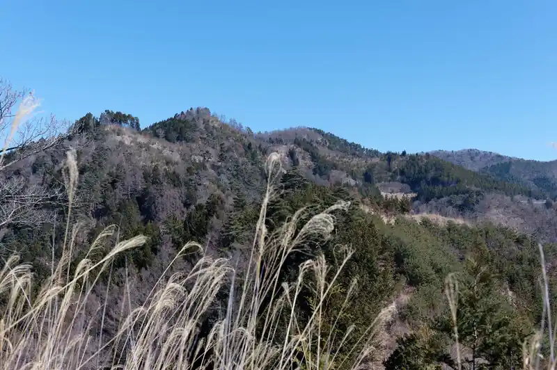 棚横手山、だいぶ近づいてきました。こう見ると登り返しの標高差にゲンナリします。