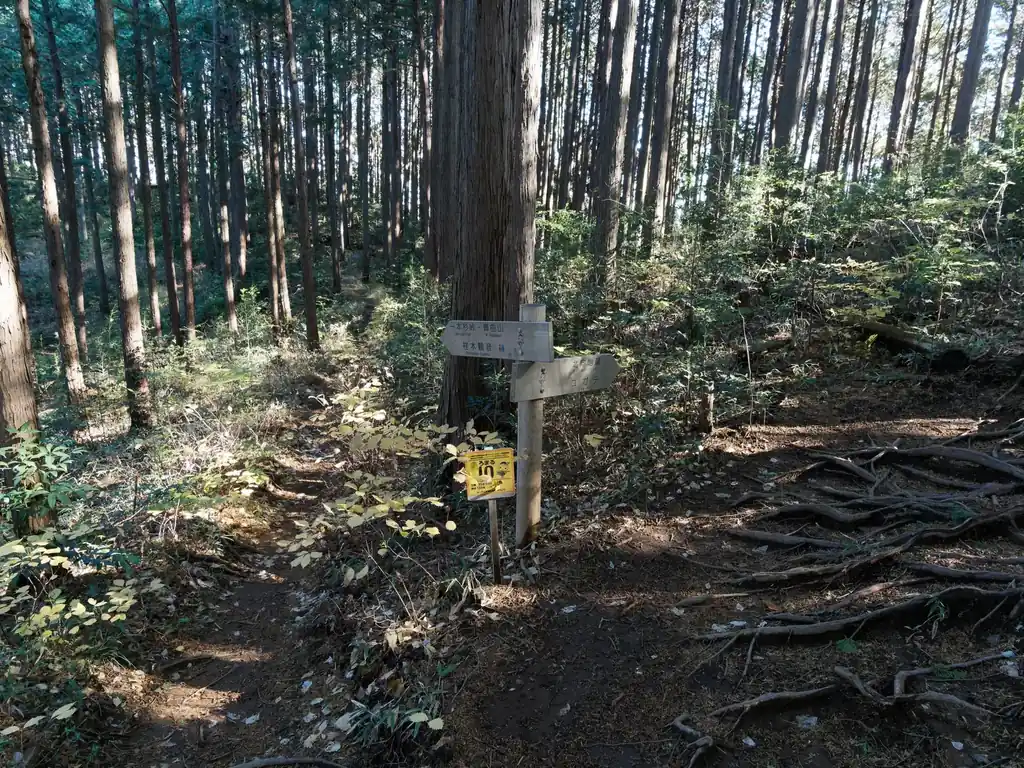 いつも日和田山や、ユガテまで行くときは、この分岐を右に行っていたが、今日は左である。