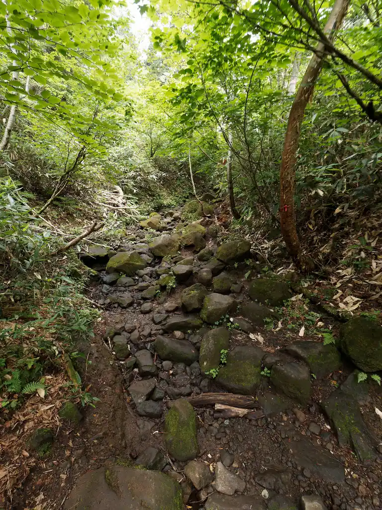ずっと木道かな～と思って歩いていると、こういう感じのガレの道もある。少し苔むしていて滑りやすいので注意して歩く。