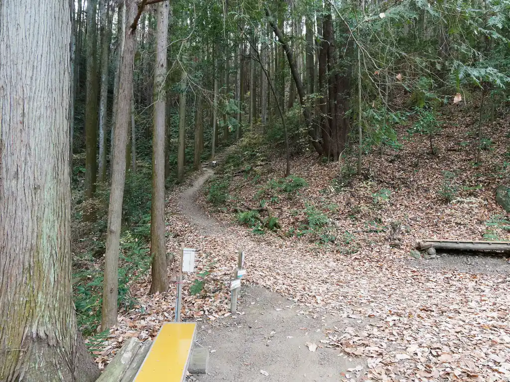 別の登山口からの道と合流。ここから階段を登って一気に標高を上げる。