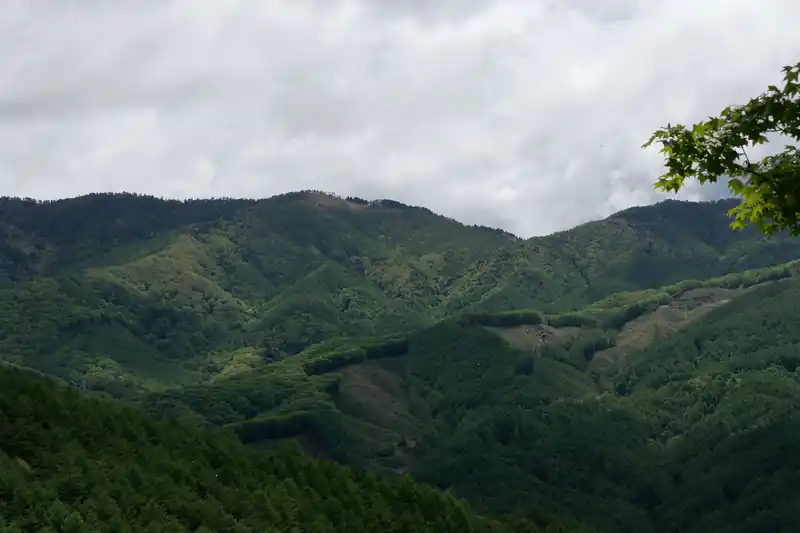 向かいは小金沢連嶺だと思うんですが、写真の場所がどこらへんなのかはわかりません。