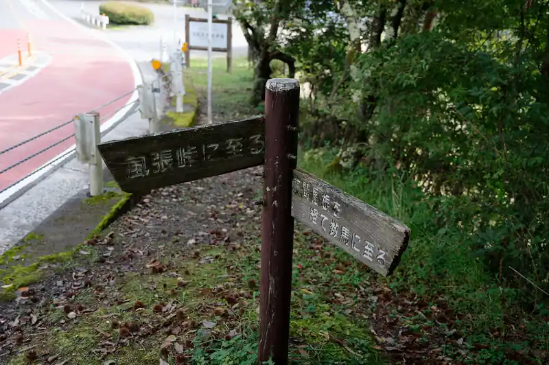登山口に到着。正直、本当に大丈夫かな…と若干不安に感じたものの、歩き始めてすぐに尾根に乗り、そこからは緩やかに下る、歩きやすい登山道となった。